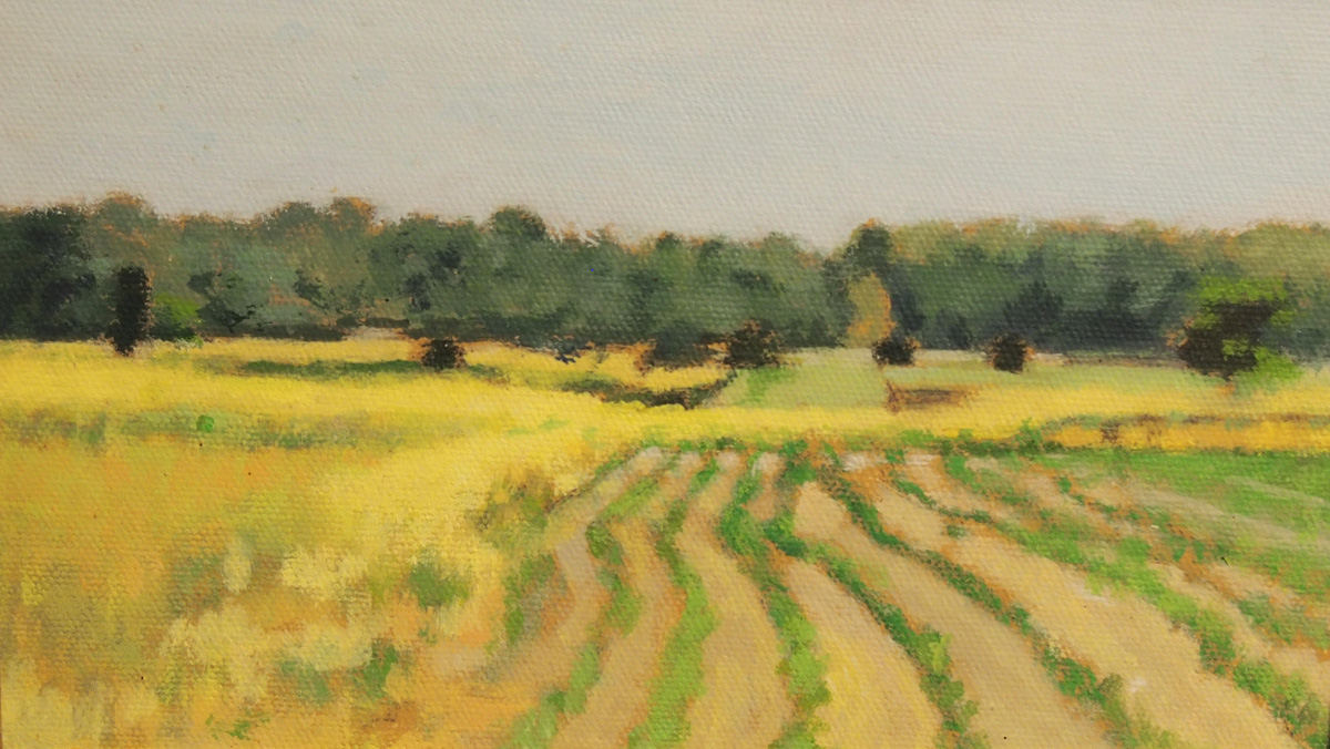 Farm Fields Image